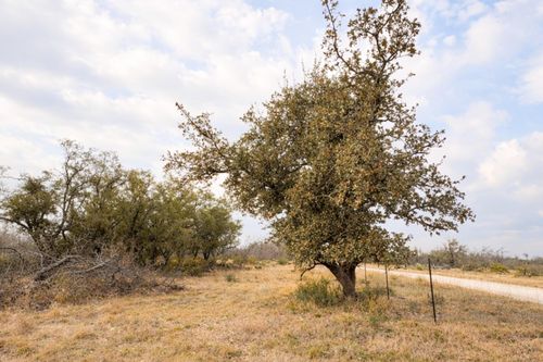135 Shin Oak Spur, Eden, TX, 76837 | Card Image