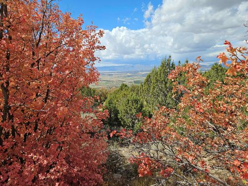 30-30 E Elk Springs Dr S, Fairview, UT, 84629 | Card Image