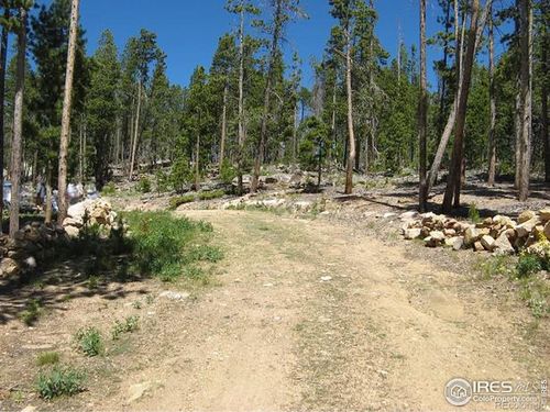 1244 Mosquito Dr, Red Feather Lakes, CO, 80545 | Card Image