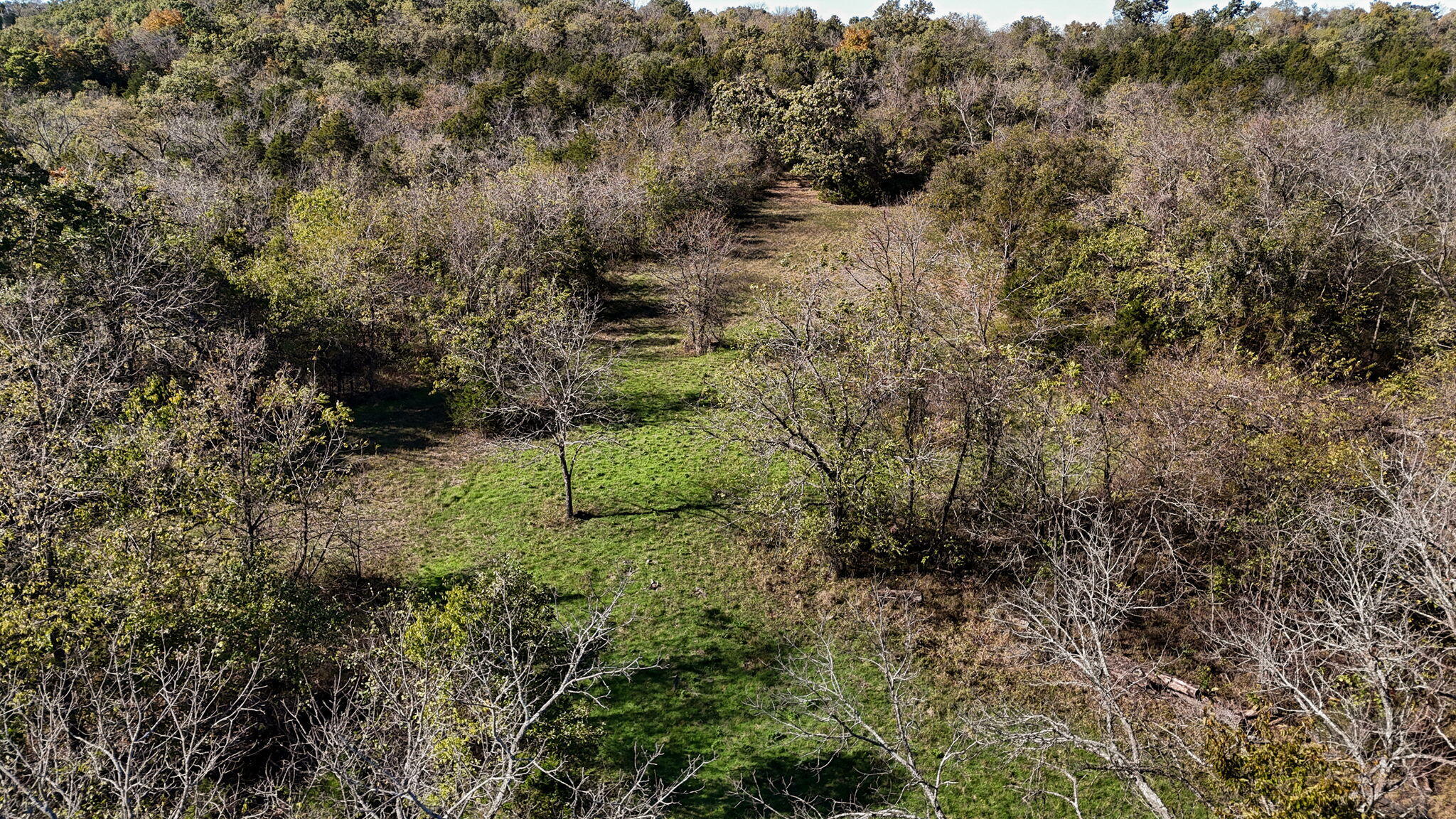 Land in Greenfield