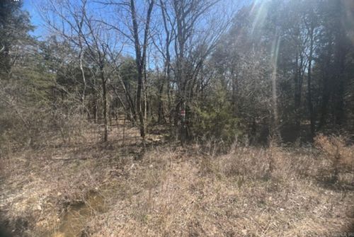 507 S Twin Lakes Dr, Horseshoe Bend, AR, 72512-3535 | Card Image