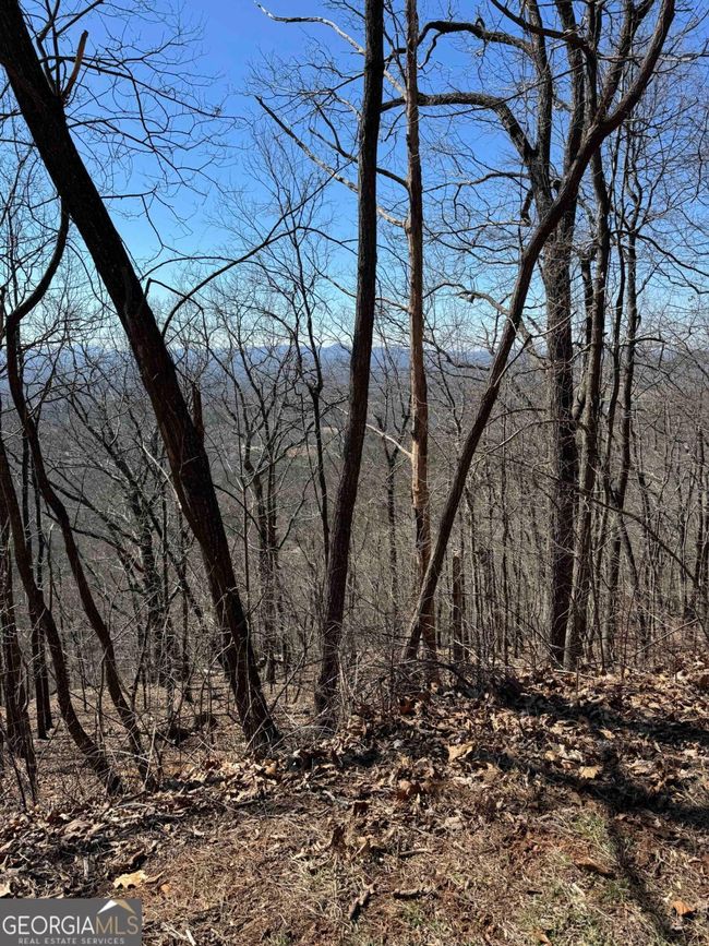 7349 Starlight Ln, Home with 0 bedrooms, 0 bathrooms and null parking in Jasper GA | Image 13