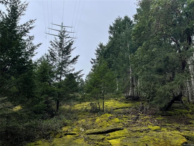 299 Coho Blvd, House other with 2 bedrooms, 1 bathrooms and 6 parking in Mudge Island BC | Image 12