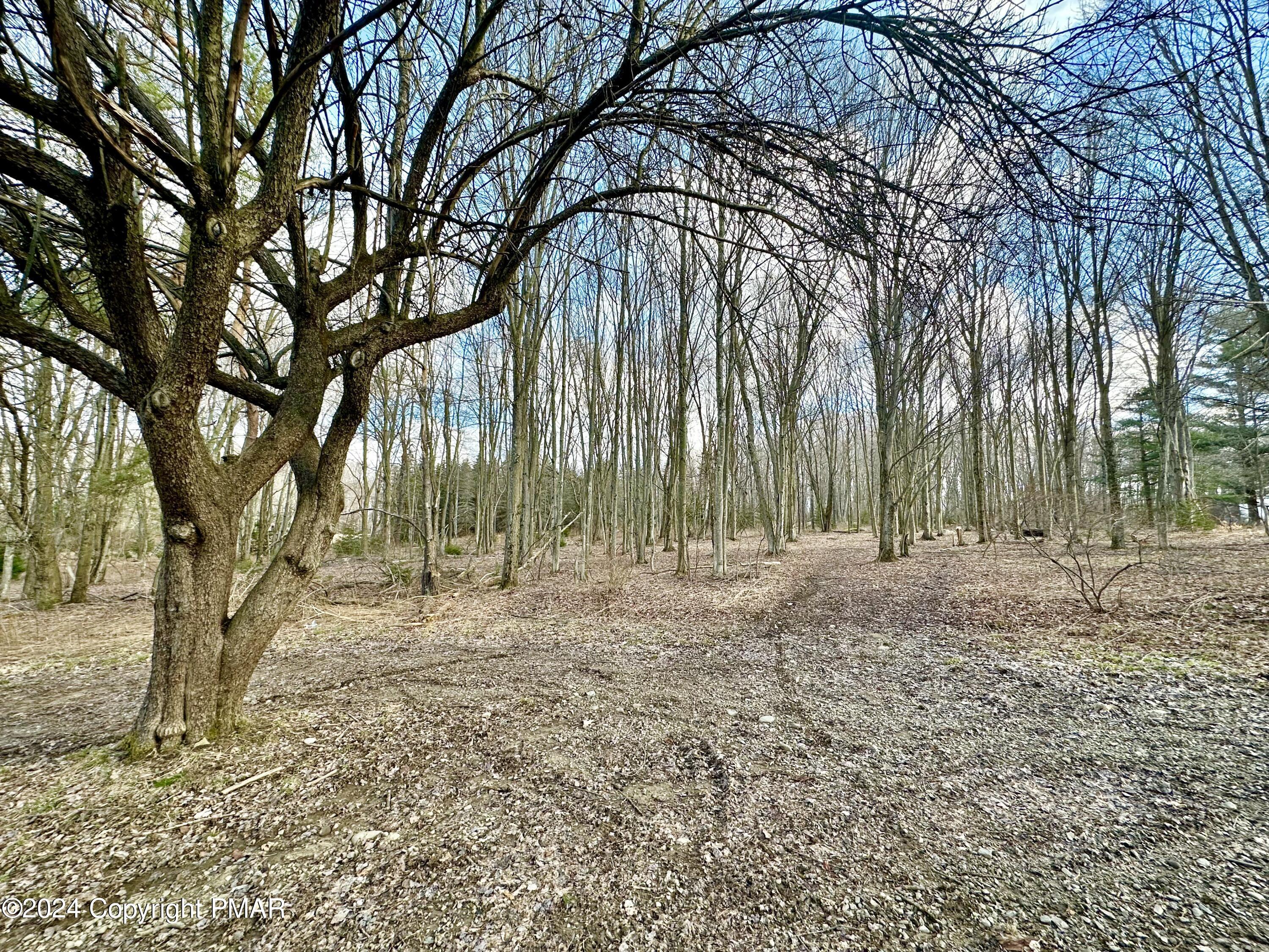 Land in Gouldsboro 2