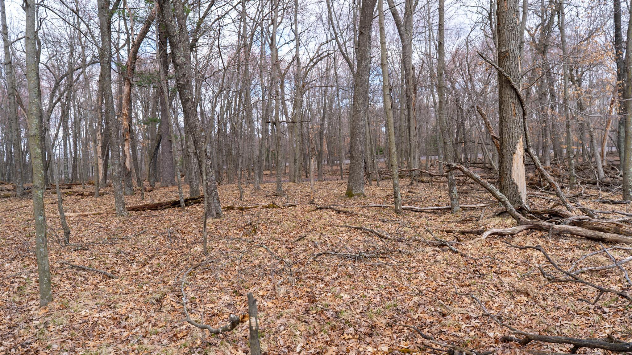 Land in Adams 5
