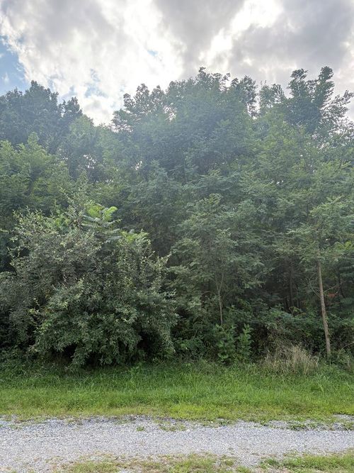 6946 Wilderness Rd, Dublin, VA, 24084-5640 | Card Image