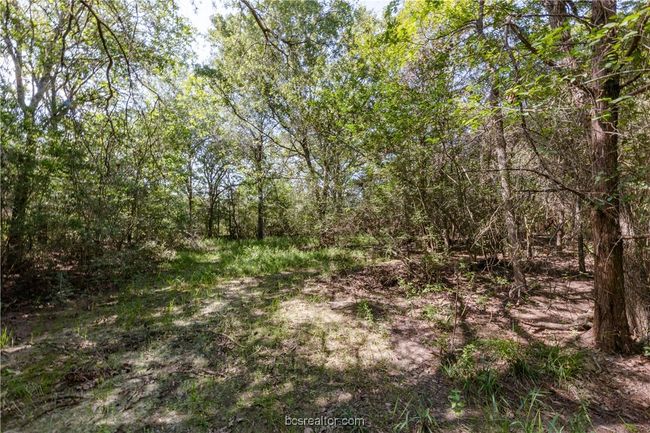 7465 River Oaks Dr, House other with 3 bedrooms, 2 bathrooms and null parking in Iola TX | Image 38