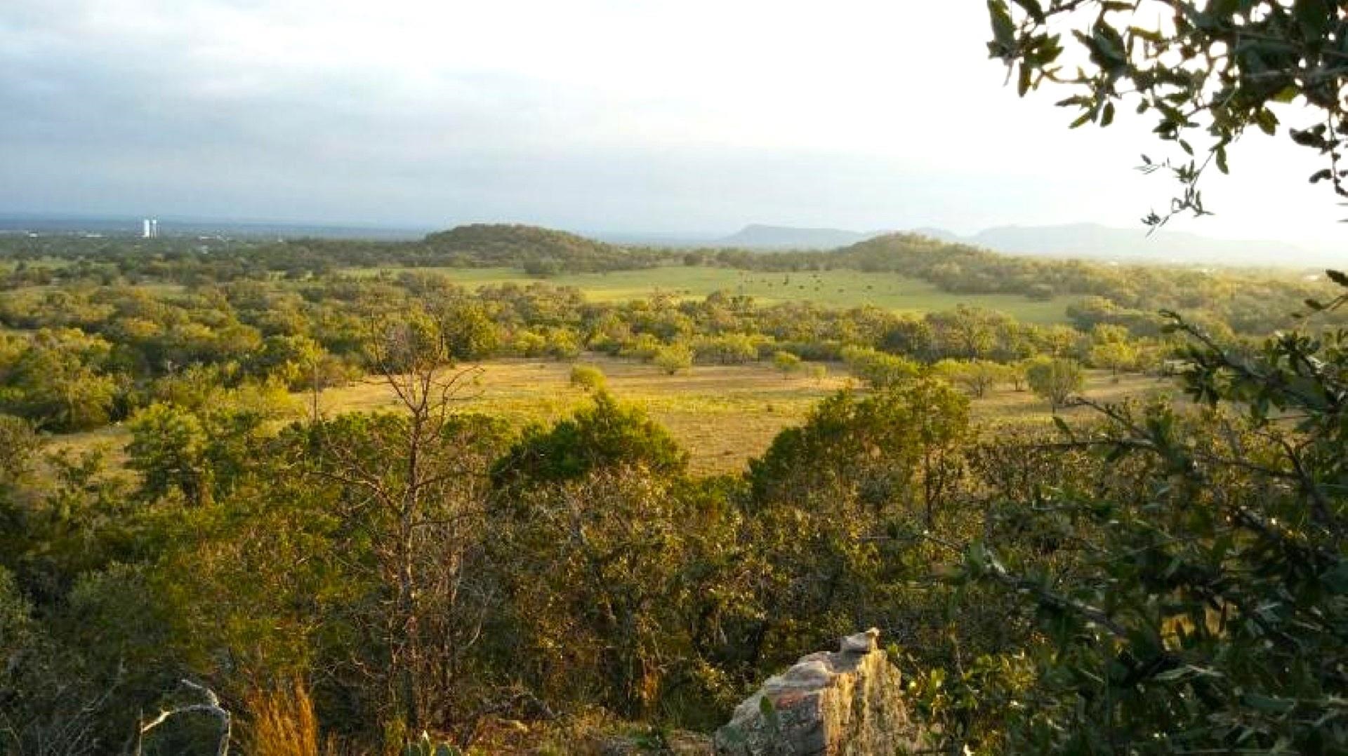 Farm in Kingsland 3