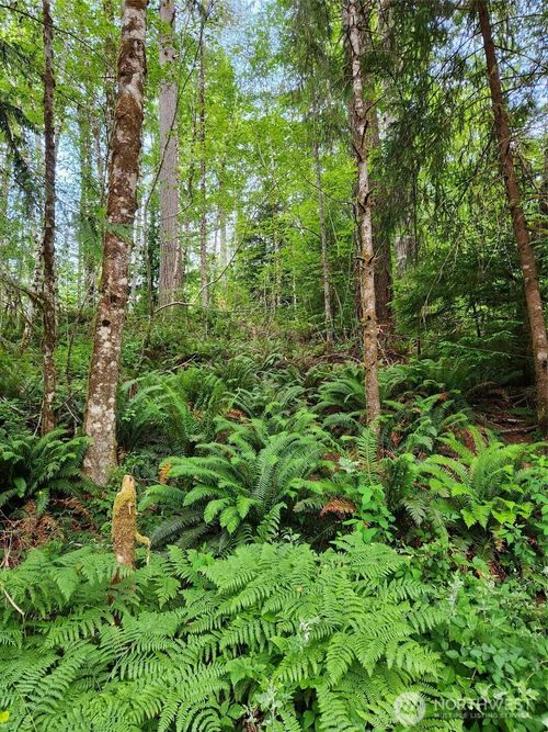 lot-w-72 W Arrowhead Dr, Elma, WA, 98541 | Card Image