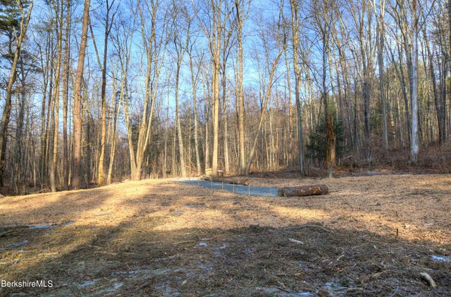 13 Rattlesnake Mtn Rd, Home with 0 bedrooms, 0 bathrooms and null parking in Stockbridge MA | Image 13