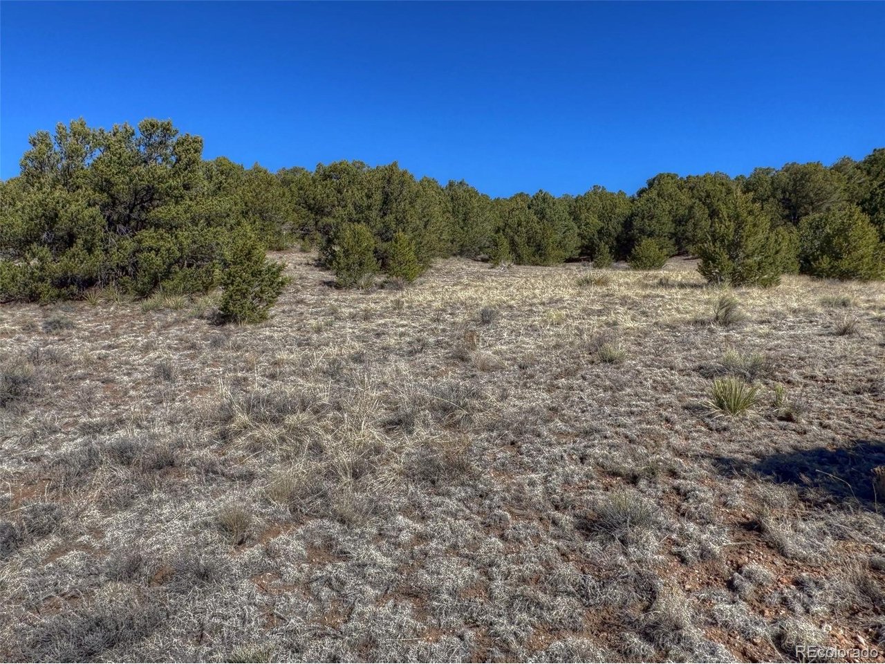 Land in Westcliffe 3
