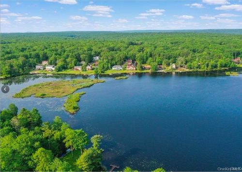 119 Lake Shore Dr, Rock Hill, NY, 12775-8214 | Card Image