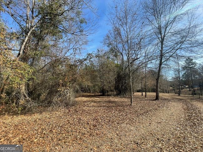 0 Oakland Heights Rd, Home with 0 bedrooms, 0 bathrooms and null parking in Sylvester GA | Image 4
