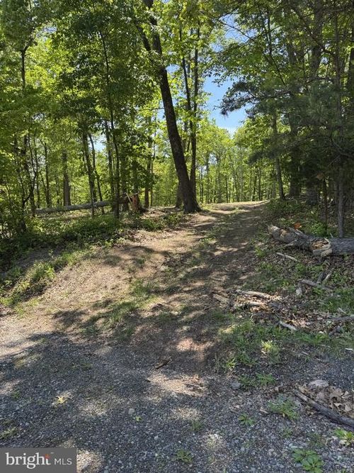 LOT 3 Ridgeview Rd, GORE, VA, 22637 | Card Image