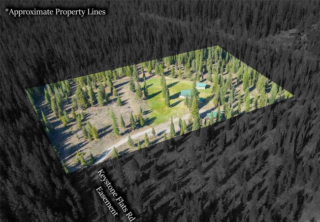 Bird's eye view of a forest | Image 42