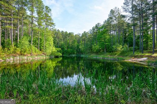 0 N Point Peter Rd, Carlton, GA, 30627 | Card Image