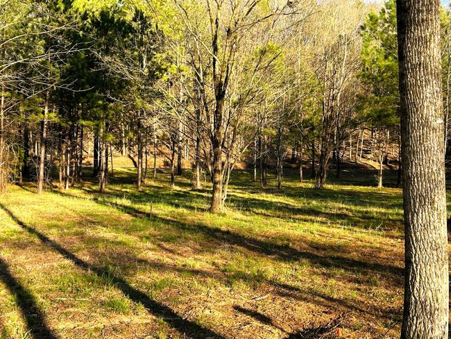 4 Hiwassee Rd, Home with 0 bedrooms, 0 bathrooms and null parking in Calhoun TN | Image 13