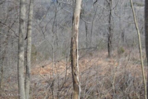 51 Cumberland View Ln, Gainesboro, TN, 38562 | Card Image