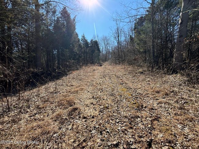 2701 Hardesty Raymond Rd, Home with 0 bedrooms, 0 bathrooms and null parking in Webster KY | Image 12