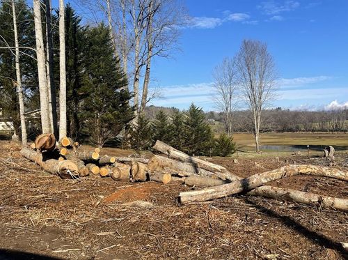 1 & 1A Sneaking Creek Dr, Hayesville, NC, 28904-6452 | Card Image