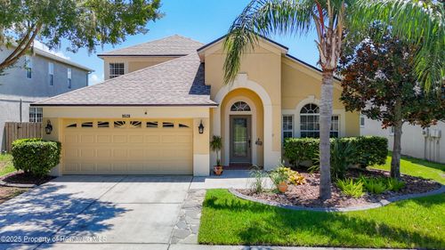 9528 Baton Rouge Ln, Land O' Lakes, FL, 34638-6982 | Card Image