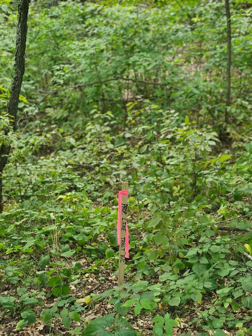 Tract C Richfield Road Sw, Pillager, MN, 56473 | Card Image