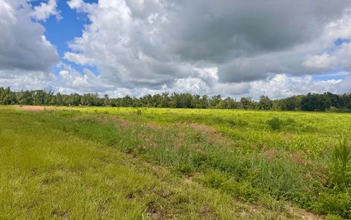 000 Nw 50th Ln, Jennings, FL, 32053 | Card Image