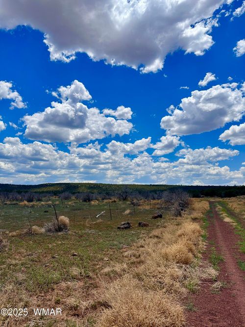 13 County Road 8122, Concho, AZ, 85924 | Card Image