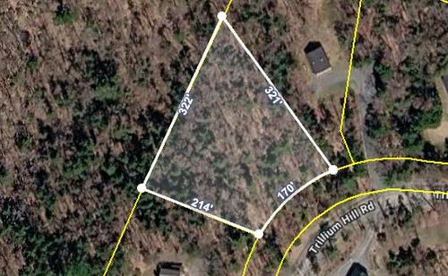 60 Trillium Hl, Pittsfield, VT, 05762-8802 | Card Image