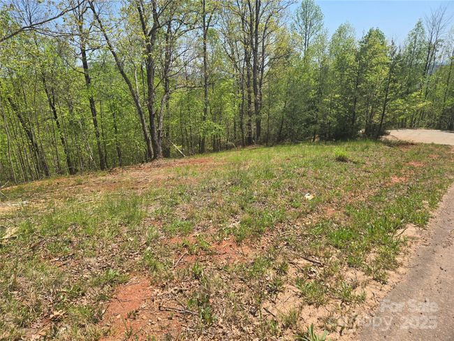 Lot 23 High Rock Rdg, Home with 0 bedrooms, 0 bathrooms and null parking in Lake Lure NC | Image 13