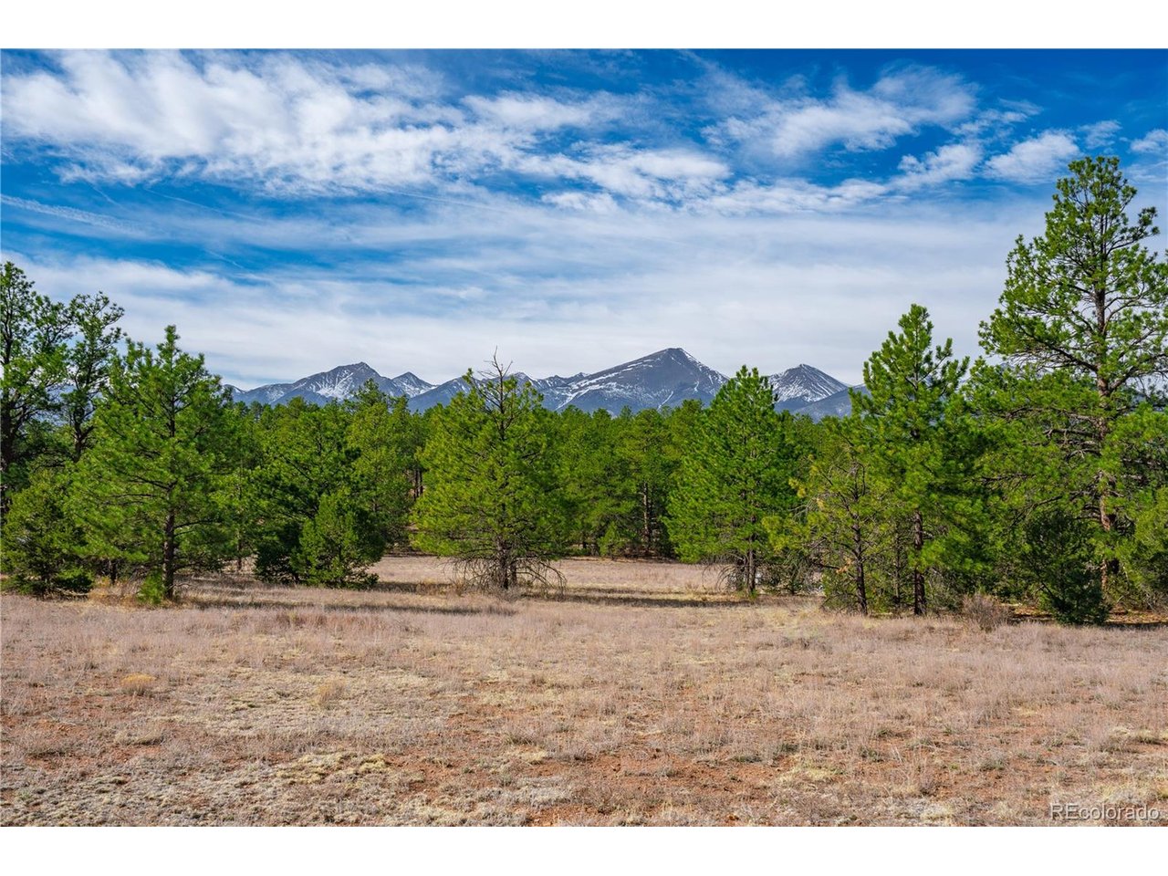 Land in Westcliffe 5