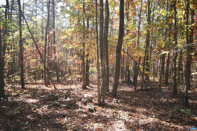 1367 S Constitution Rte, House other with 4 bedrooms, 1 bathrooms and null parking in DILLWYN VA | Image 44