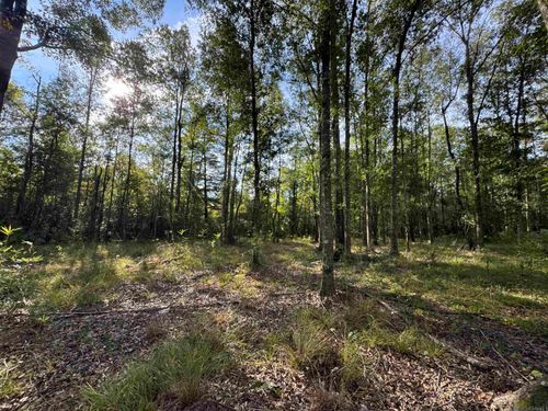 SF-9 La Highway 16, Denham Springs, LA, 70706 | Card Image