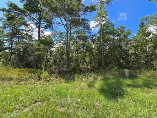 19 Candytuft Court, Homosassa, FL, 34446 | Card Image