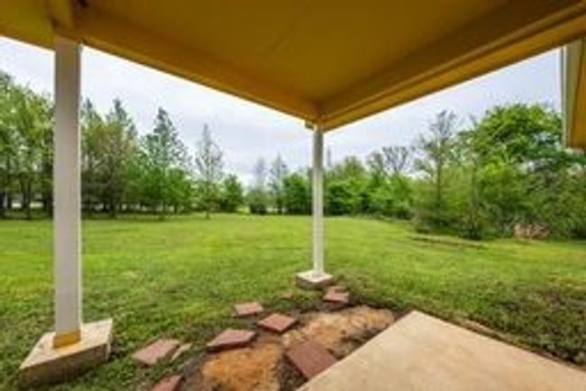 View of yard | Image 4
