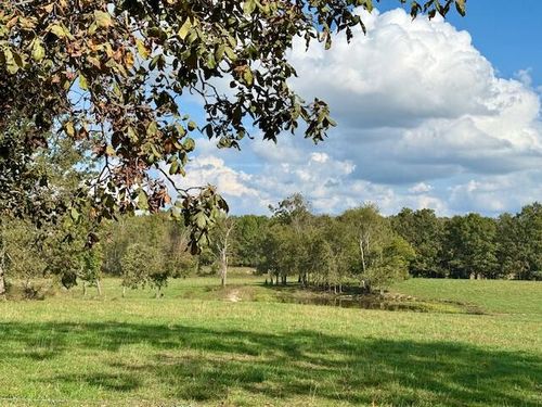 960 County Road 3030, Mountain View, MO, 65548-8407 | Card Image