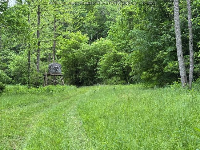 3177 Mount Union Rd, Home with 0 bedrooms, 0 bathrooms and null parking in Fraziers Bottom WV | Image 22