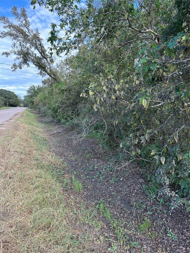 00 N Belt St, Home with 0 bedrooms, 0 bathrooms and null parking in Brazoria TX | Image 4