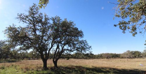 1-1519 Mesquite Ln, Christoval, TX, 76935 | Card Image