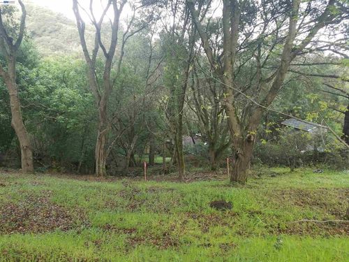12 Vista Del Orinda, Orinda, CA, 94563-2031 | Card Image