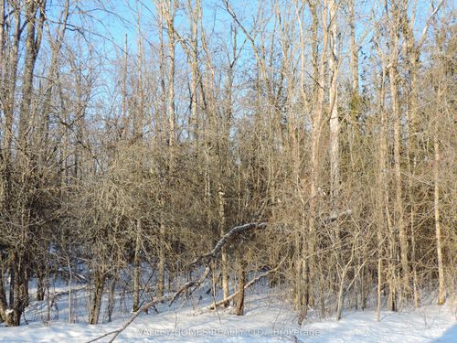 L3 - 297 Harding Rd, Lanark, ON, K0G1K0 | Card Image