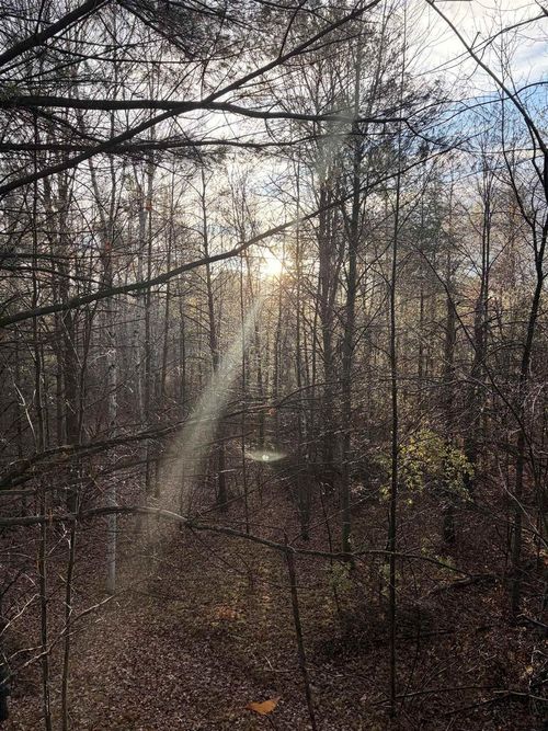 63 Acres Beranek Road, Kronenwetter, WI, 54455 | Card Image