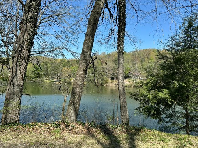 View of lake from the lot | Image 8