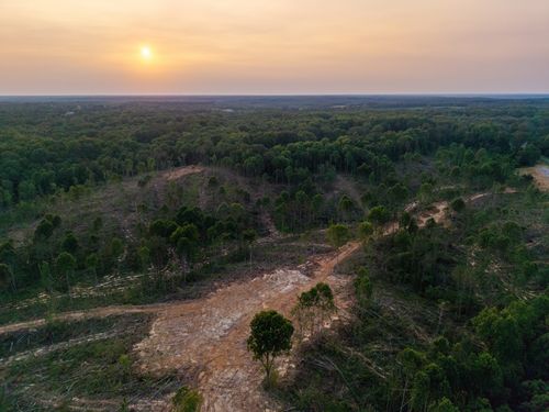 0 Chicken Rd, Dresden, TN, 38225 | Card Image