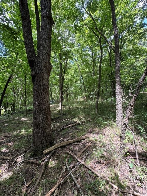 2 Gum Springs Rd, Parthenon, AR, 72666 | Card Image