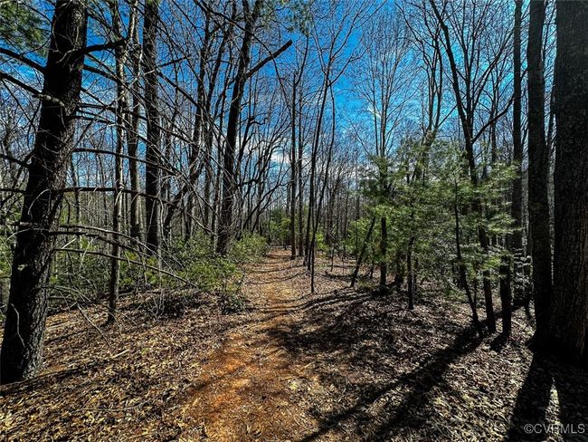 41.18 Acres (Off Of) Pole Bridge Rd, Home with 0 bedrooms, 0 bathrooms and null parking in Stuart VA | Image 15