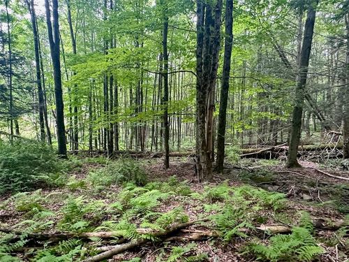 125 South Hill Road, Neversink, NY, 12765 | Card Image