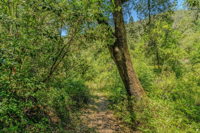16000 Sutter Creek Rd, House other with 3 bedrooms, 2 bathrooms and null parking in Sutter Creek CA | Image 62