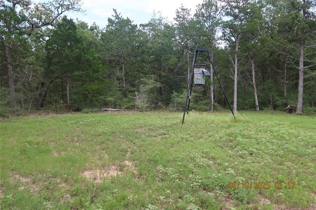 1584 Dungens Mill Rd, Home with 0 bedrooms, 0 bathrooms and null parking in Columbus TX | Image 9
