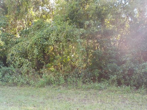 11641 N Kenlake Cir, CITRUS SPRINGS, FL, 34434-2220 | Card Image